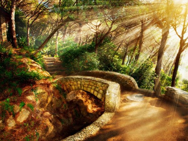 DRAGON | Transformação & Prosperidade Empresarial - A DRAGON - Transformação & Prosperidade Empresarial é orientada pelas seguintes definições estratégicas:
CORE BUSINESS
Transformação & Prosperidade Empresarial
PROPÓSITO
Impactar no desenvolvimento social.
MISSÃO
Promover a transformação e a prosperidade empresarial com abordagem sistêmica, técnica e comportamental, focando o desenvolvimento social.
VISÃO DE FUTURO
Deixar como legado para futuras gerações, uma sociedade mais desenvolvida, justa e com melhor qualidade de vida. 